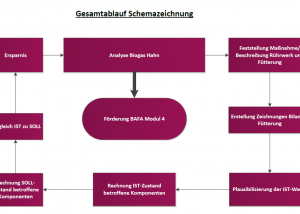 Gesamtablauf Maßnahmenbewertung